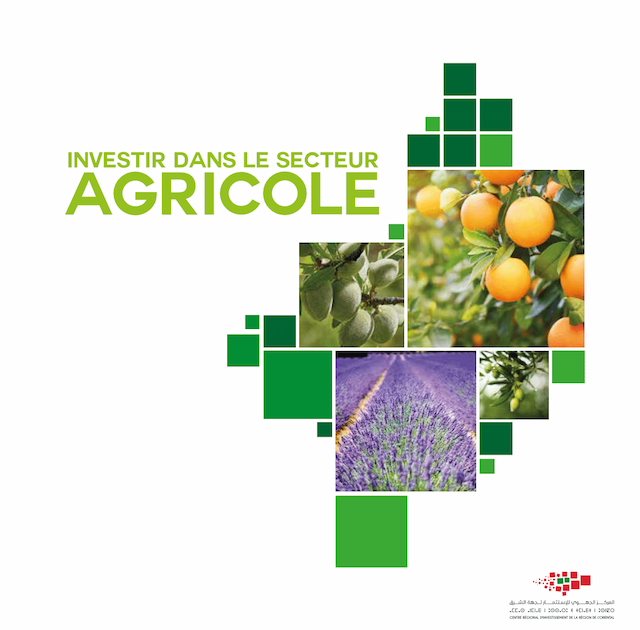 Investir dans le secteur agricole 