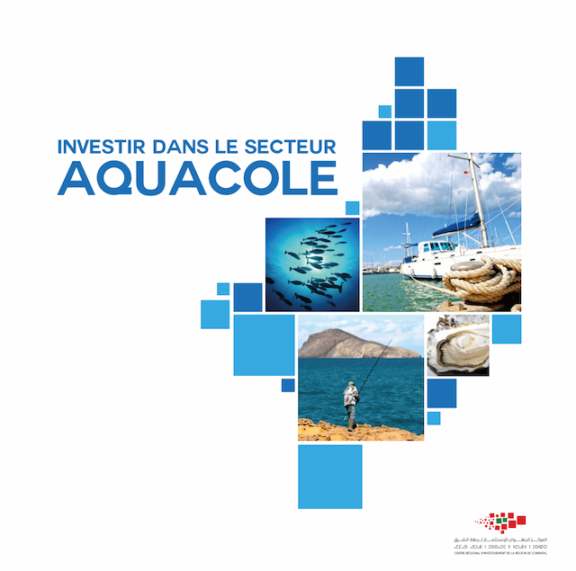 Investir dans le secteur aquacole